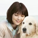 [일본영화] 강아지와 나의 열 가지 약속 (10 Promises to My Dog, 2008) 이미지