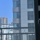 창문형 로봇청소기 ‘청소개구리’ 대여 후기