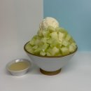 행복한 가정요리 | 스노우반 가정용빙수기 3개월 사용 후기 – 집에서 매일 빙수 먹게 된 이유