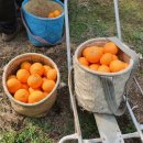 산남농장 이미지