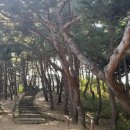 세종대왕태실 주차장 네이버블로그