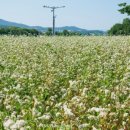 수진축구장 이미지