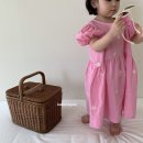 벌룬플라워 이미지