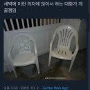 야구선수들에게 연애의참견이 보이는거 이거 어떻게 해야함? 이미지