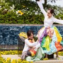 나비의 꿈 이미지