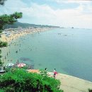 무창포해수욕장 이미지