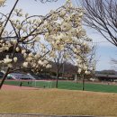 과천시 관문체육공원 이미지