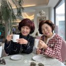 25년 명가 기업 DNA 출연 후기｜씨크릿우먼 헤어웨어의 미(美)친 기술력을 다시 보게 된 하루