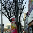 쉬크레마카롱전문점 이미지