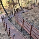 자연의 둥지 이미지