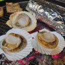 스테이숨 이미지