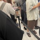 테마프라자약국 | 동대문 DDP 아기상어 비밀 초대장 비커밍 샤크 아기상어 전시회 다녀온 솔직후기