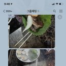 민상농장 이미지