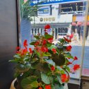 코코호도송내로데오점 이미지