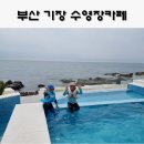 씨앤트리 | 부산 기장 수영장카페 , 바다날다 (씨앤트리) 내돈내산
