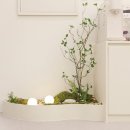 뷰티앤브로우 이미지