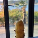 해물나라장어나라 이미지