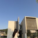 카이정헤어 | 광교중앙역 미용실 카이정헤어, 광교...은진 디자이너 레이어드컷 내돈내산 추천 후기