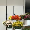 영도초교(병설) 이미지