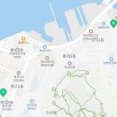 파란꽃배달조경