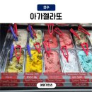 아가젤라또성수 | 성수 디저트 아이스크림 카페 아가젤라또 베스트메뉴
