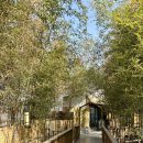 안성숲속빌리지1 | 경기카페추천, 안성카페 온숲