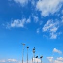 월악든솔펜션 이미지