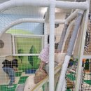 김천녹색미래과학관 | 김천아이와가볼만한곳 김천녹색미래과학관 후기