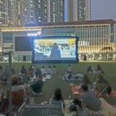 오픈시네마