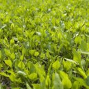 건축사사무소뿌리 이미지