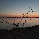 남악수변공원 이미지