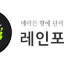 레인포러스