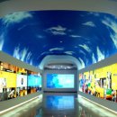 건강과성박물관 제주 이미지