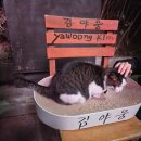 두리베어 이미지