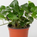 반석농장 이미지