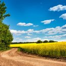 한맥공인중개사사무소 이미지