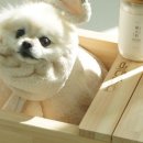 몽스파 네이버블로그