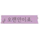 미라쌀롱 이미지
