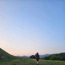 버버리 원피스 니트 드레스 후기 봄여름 원피스 추천 사이즈팁