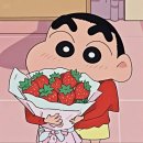 소소롱 플라워 스튜디오 | w5 웨딩촬영 플라워디렉팅 컨셉바이헤넴 추천 센터피스 변형 서브부케 후기