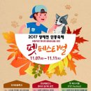 펫페스티벌 이미지