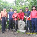 2014년6월7,8일(무박) 낙동정맥 2구간 : 통리재-백병산- 구랄산 - 면산- 석계재. 19.3km/ 8시간. 이미지