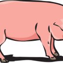 황금누리농장 이미지