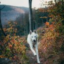 강릉동물병원 이미지