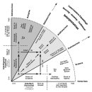 conscious chart 이미지