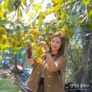 경택농장 네이버블로그