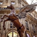 페가수스 이미지