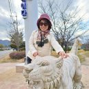 경주종합자동차정비 이미지