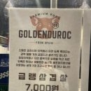괘법동;그집