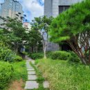 양덕동201 이미지